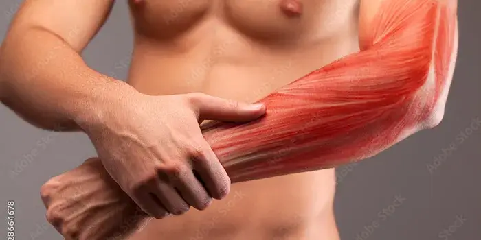 A man lifting a weight during a bicep curl.